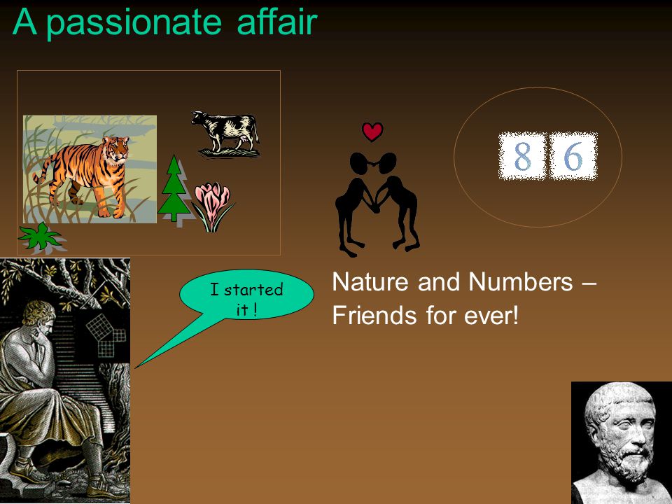 A passionate affair Nature and Numbers – Friends for ever! I started it !