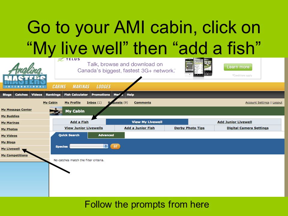 Go to your AMI cabin, click on My live well then add a fish Follow the prompts from here