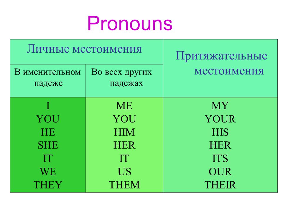 Притяжательные местоимения 6 класс презентация