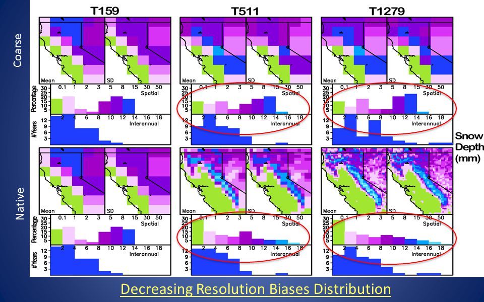Coarse Native Decreasing Resolution Biases Distribution