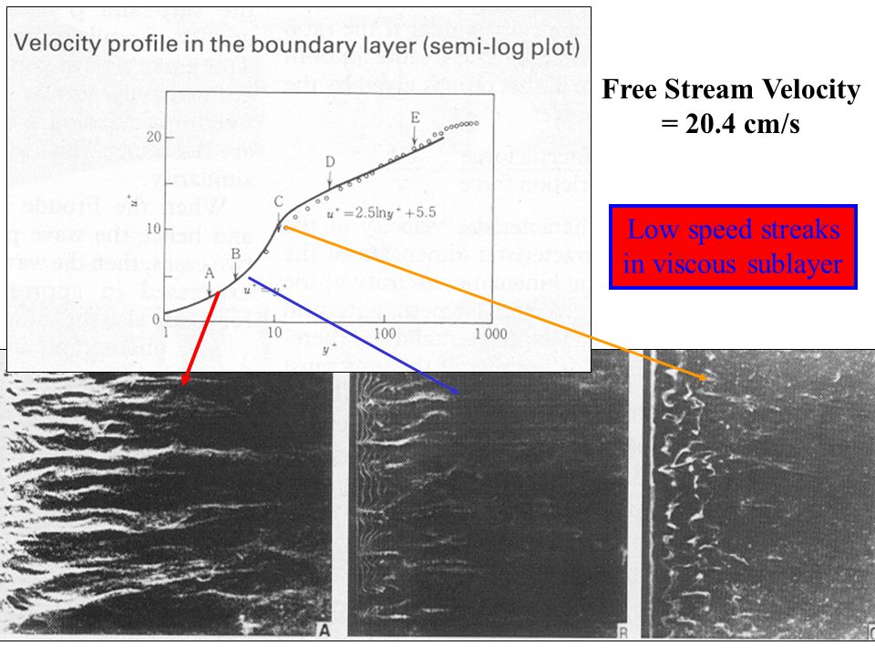 Free Stream Velocity = 20.4 cm/s Low speed streaks in viscous sublayer