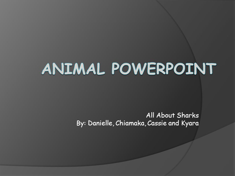 All About Sharks By: Danielle, Chiamaka, Cassie and Kyara