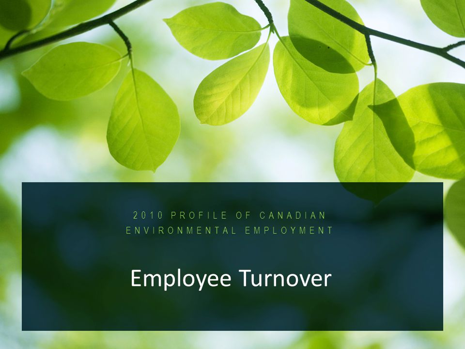 2010 Profile of Canadian Environmental Employment PROFILE OF CANADIAN ENVIRONMENTAL EMPLOYMENT Employee Turnover