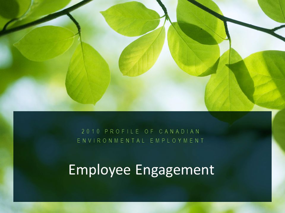 2010 Profile of Canadian Environmental Employment PROFILE OF CANADIAN ENVIRONMENTAL EMPLOYMENT Employee Engagement
