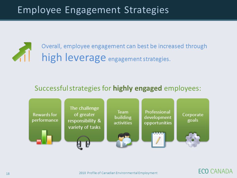 2010 Profile of Canadian Environmental Employment 18 Employee Engagement Strategies Rewards for performance The challenge of greater responsibility & variety of tasks Team building activities Professional development opportunities Corporate goals Successful strategies for highly engaged employees: Overall, employee engagement can best be increased through high leverage engagement strategies.