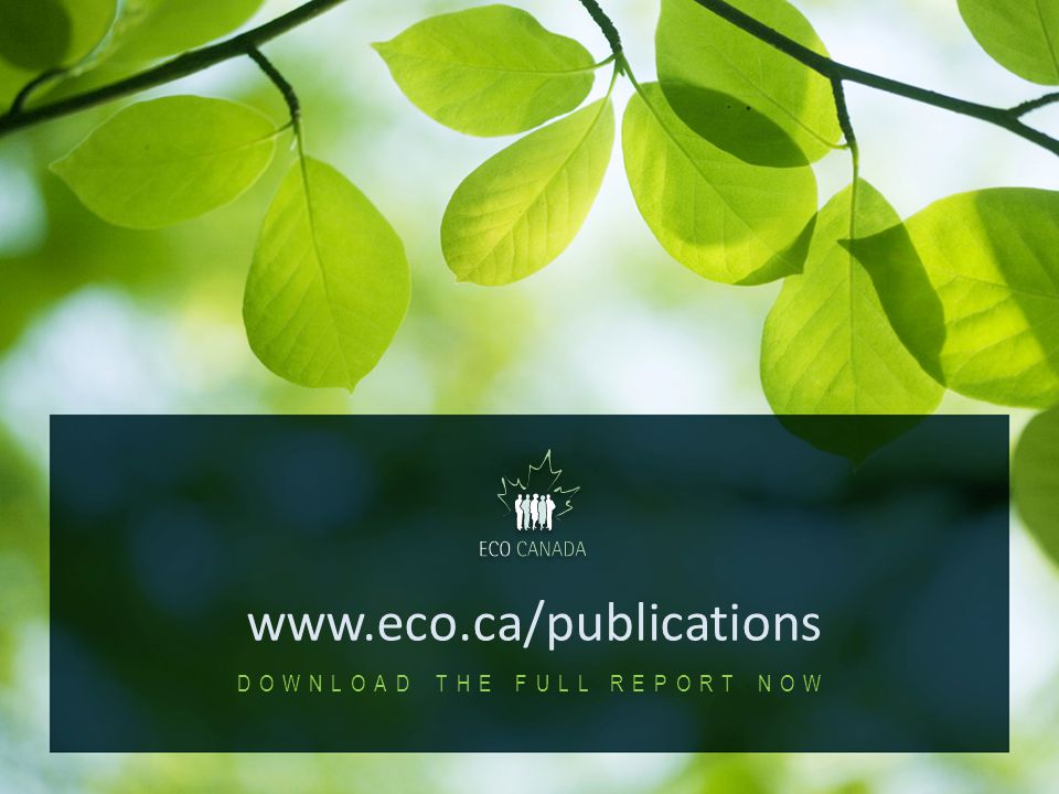 2010 Profile of Canadian Environmental Employment 28   DOWNLOAD THE FULL REPORT NOW