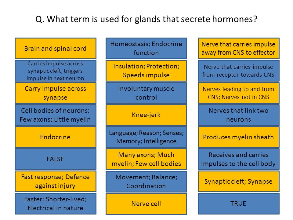 Q. What term is used for glands that secrete hormones.