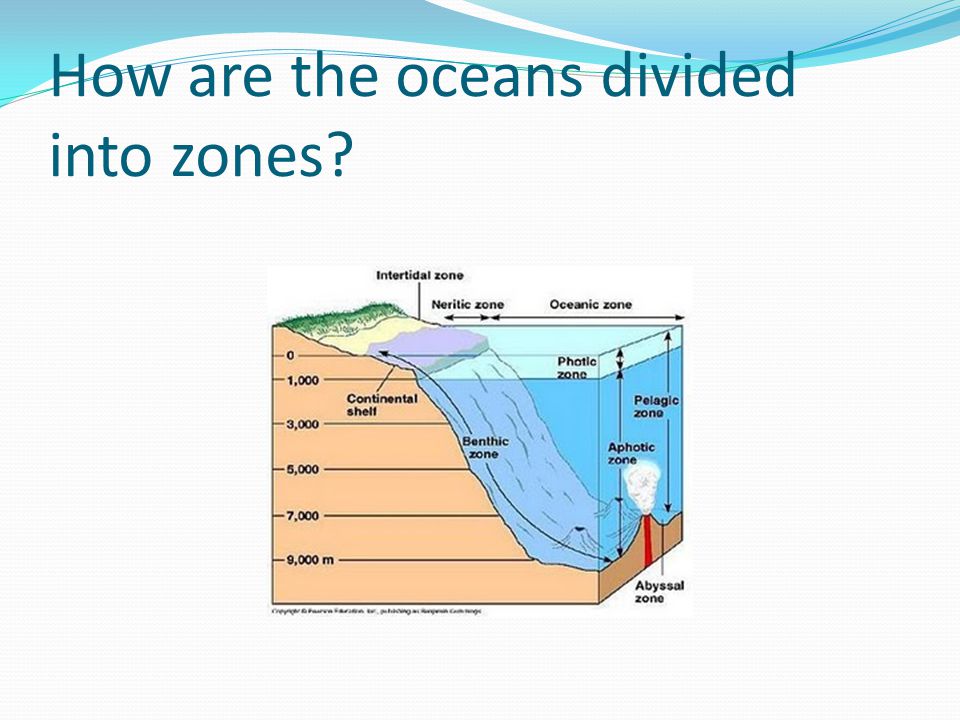 How are the oceans divided into zones