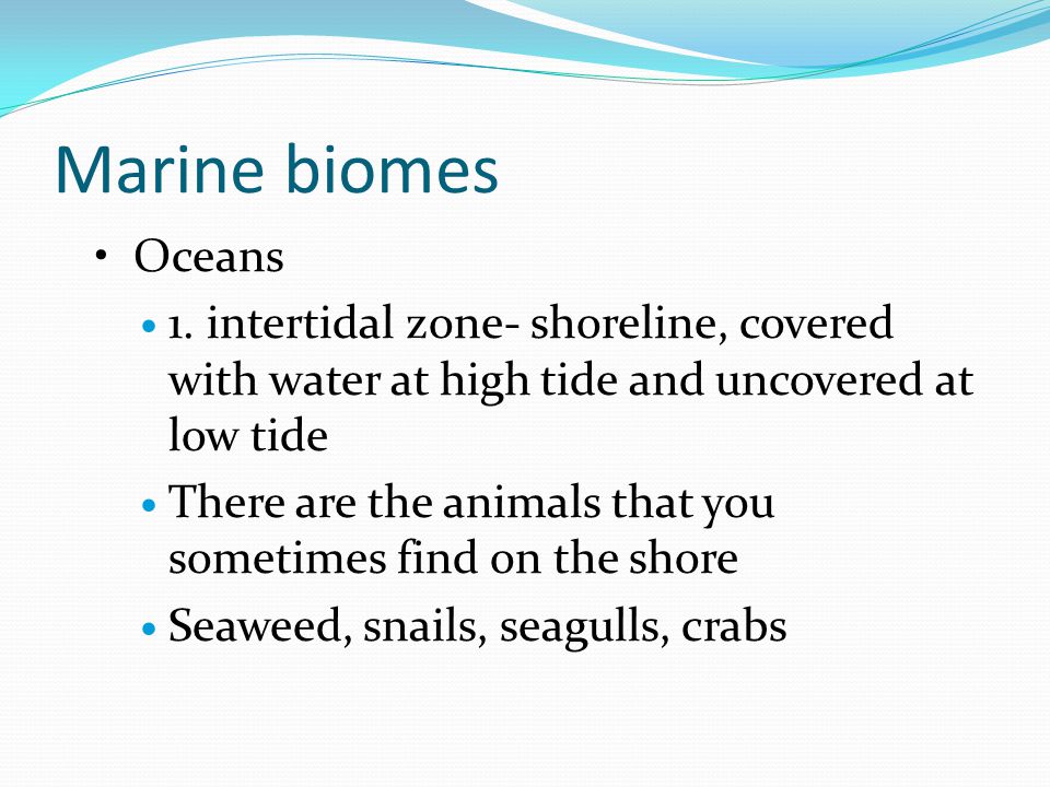 Marine biomes Oceans 1.