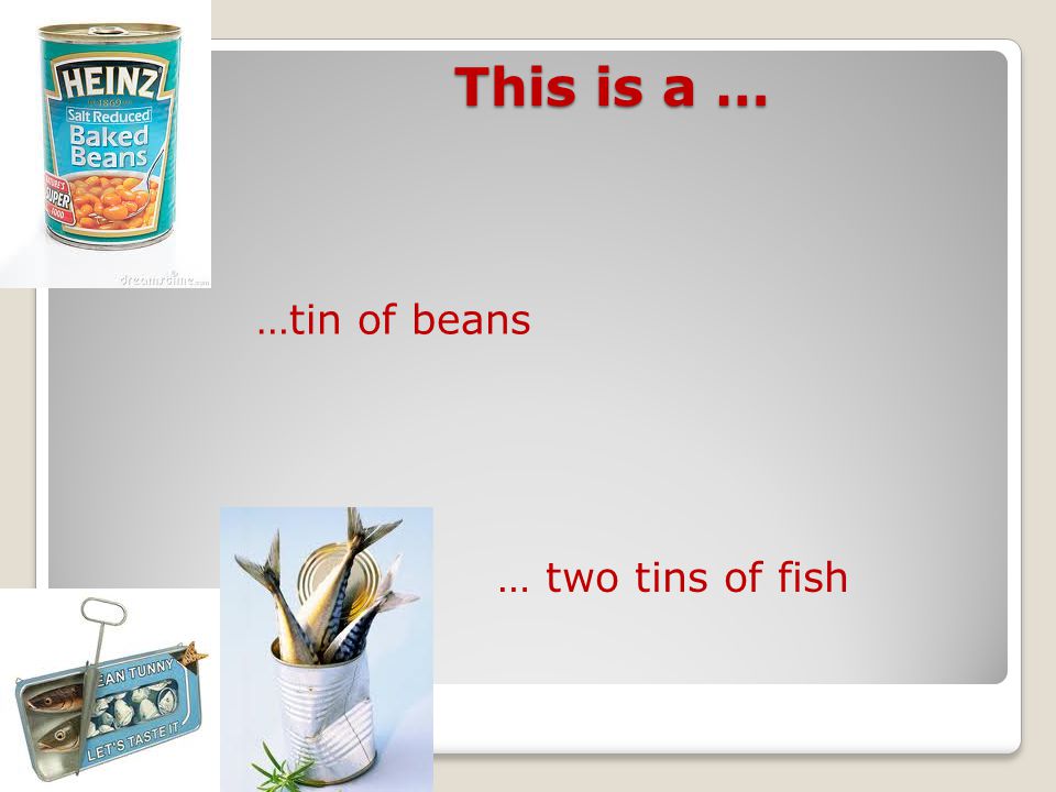 This is a … This is a … …tin of beans … two tins of fish