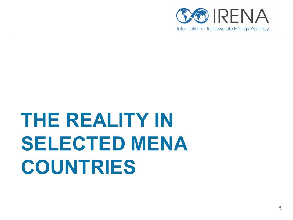THE REALITY IN SELECTED MENA COUNTRIES 5