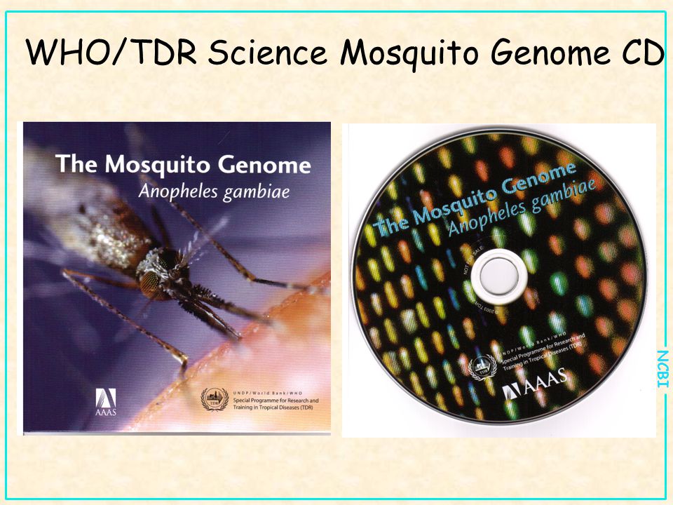 NCBI WHO/TDR Science Mosquito Genome CD