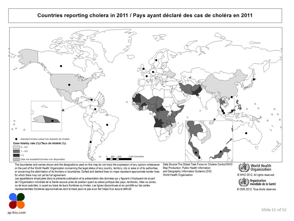 Холера где. Холера карта распространения. Распространенность холеры в мире. Пандемия холеры карта. Распространенность холеры в мире карта.