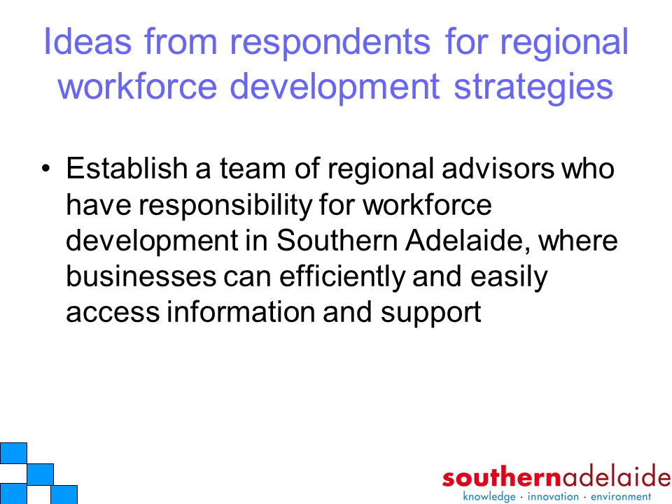 Ideas from respondents for regional workforce development strategies Establish a team of regional advisors who have responsibility for workforce development in Southern Adelaide, where businesses can efficiently and easily access information and support
