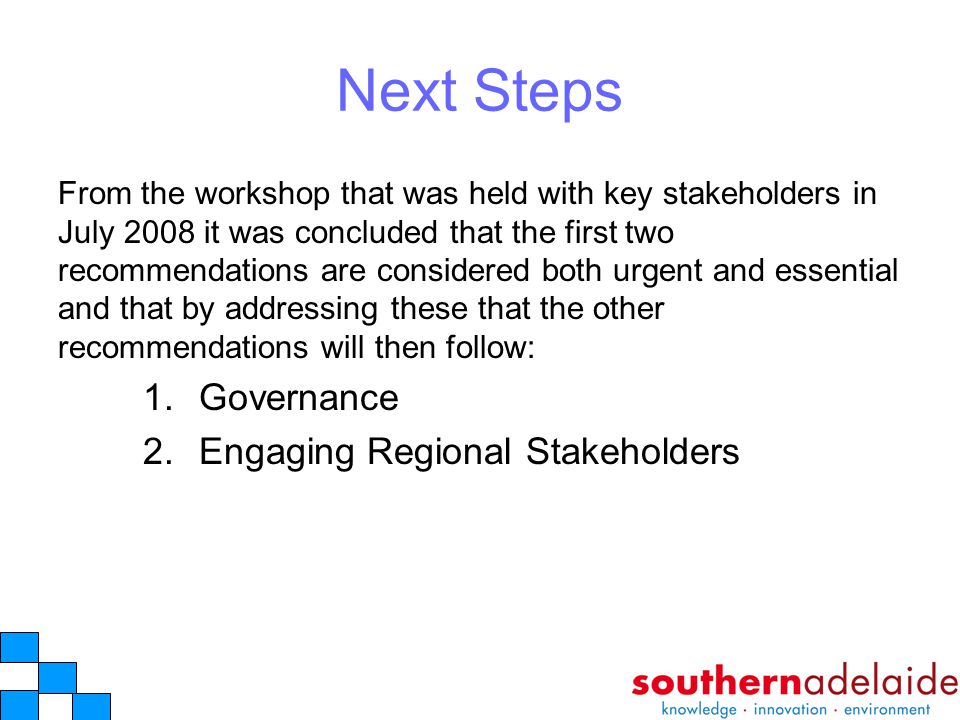 Next Steps From the workshop that was held with key stakeholders in July 2008 it was concluded that the first two recommendations are considered both urgent and essential and that by addressing these that the other recommendations will then follow: 1.Governance 2.Engaging Regional Stakeholders