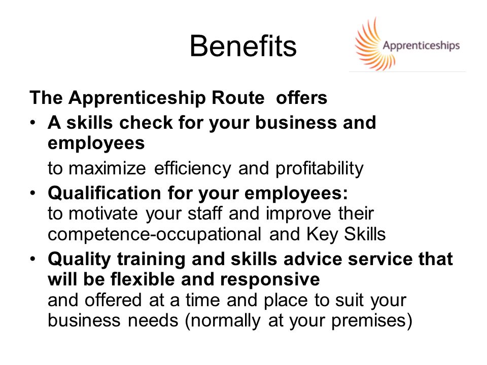 The Apprenticeship Route offers A skills check for your business and employees to maximize efficiency and profitability Qualification for your employees: to motivate your staff and improve their competence-occupational and Key Skills Quality training and skills advice service that will be flexible and responsive and offered at a time and place to suit your business needs (normally at your premises) Benefits