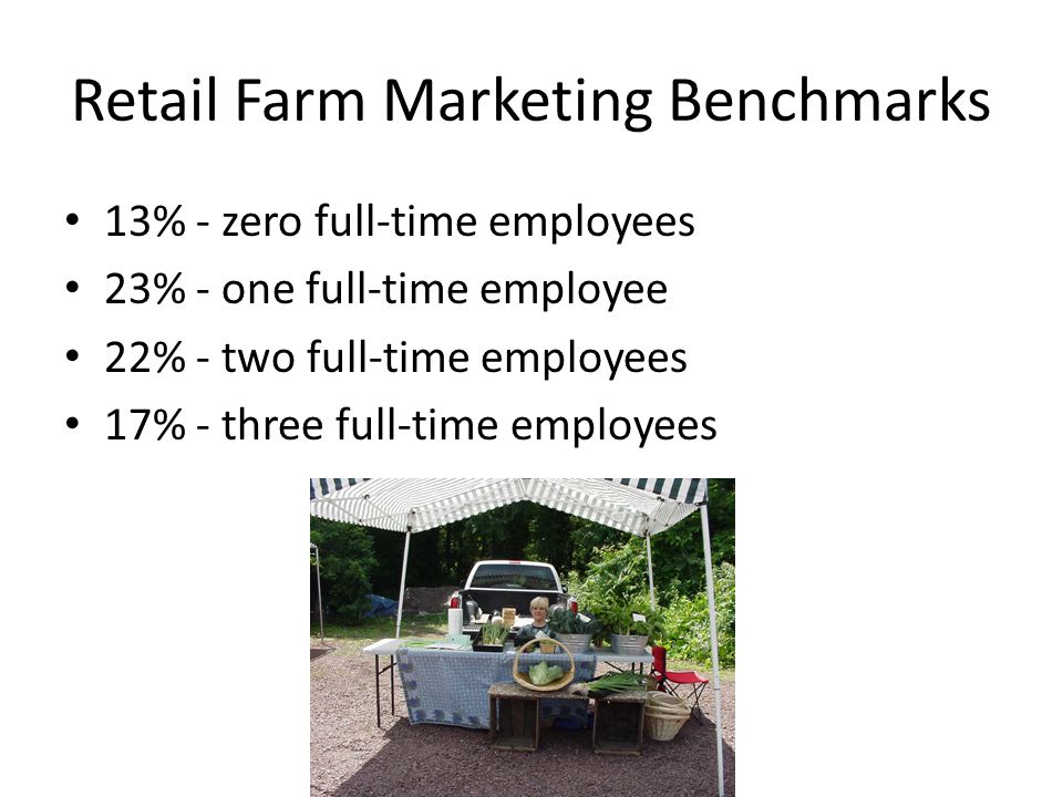 13% - zero full-time employees 23% - one full-time employee 22% - two full-time employees 17% - three full-time employees