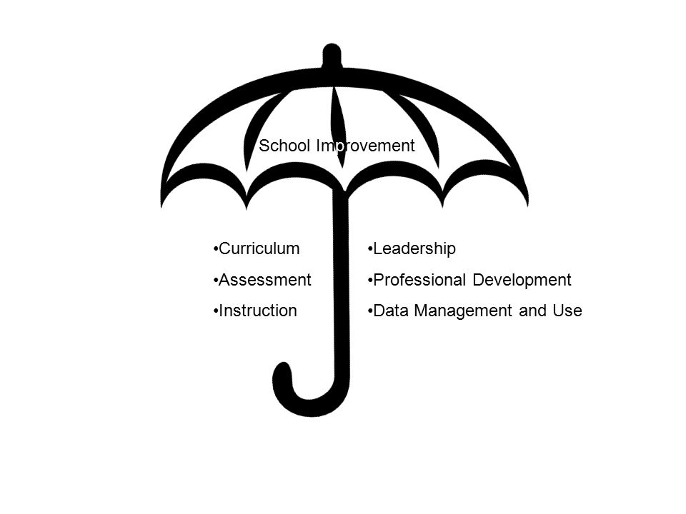 School Improvement Curriculum Assessment Instruction Leadership Professional Development Data Management and Use
