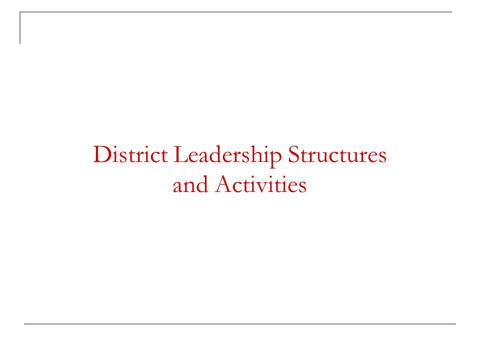 District Leadership Structures and Activities
