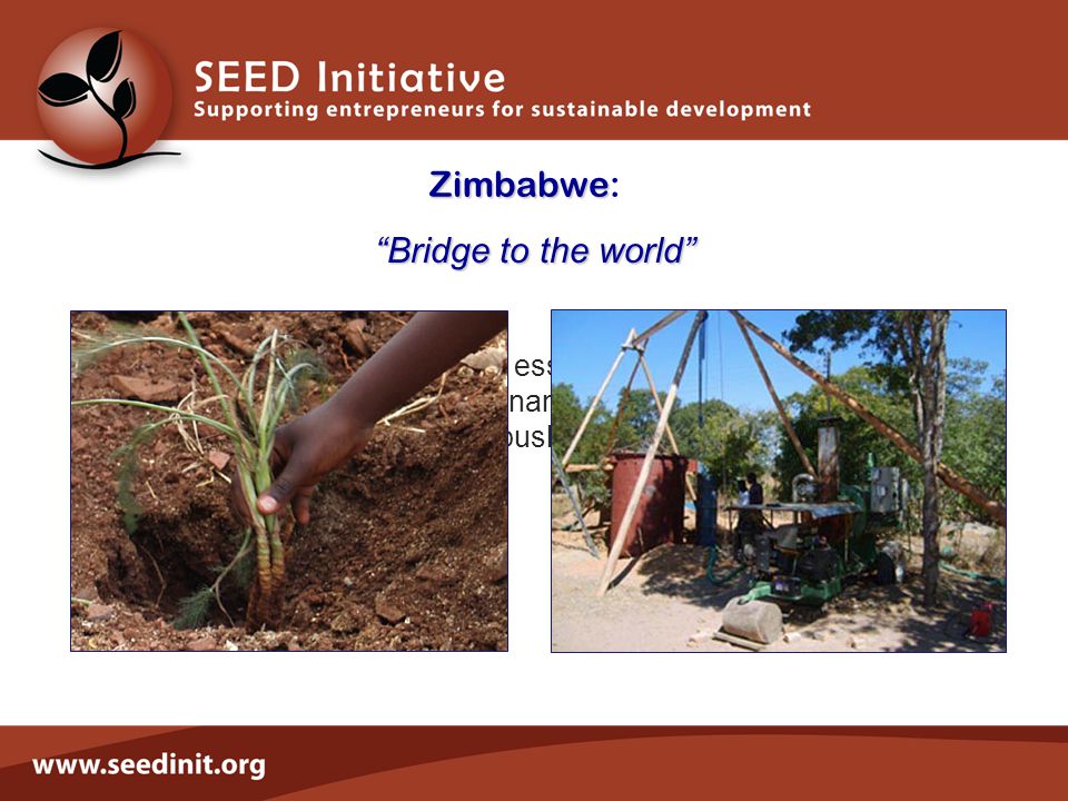Zimbabwe Zimbabwe: Bridge to the world Producing organic essential oils from the indigenous Tarchonanthus Campohratus bush.