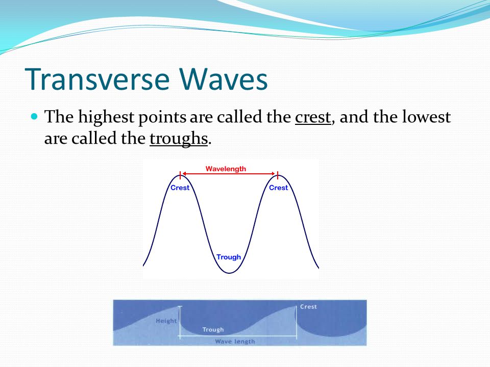 Transverse Waves The highest points are called the crest, and the lowest are called the troughs.