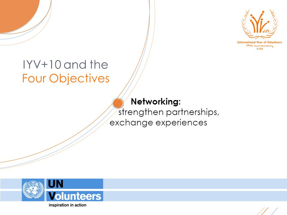 Networking: strengthen partnerships, exchange experiences IYV+10 and the Four Objectives