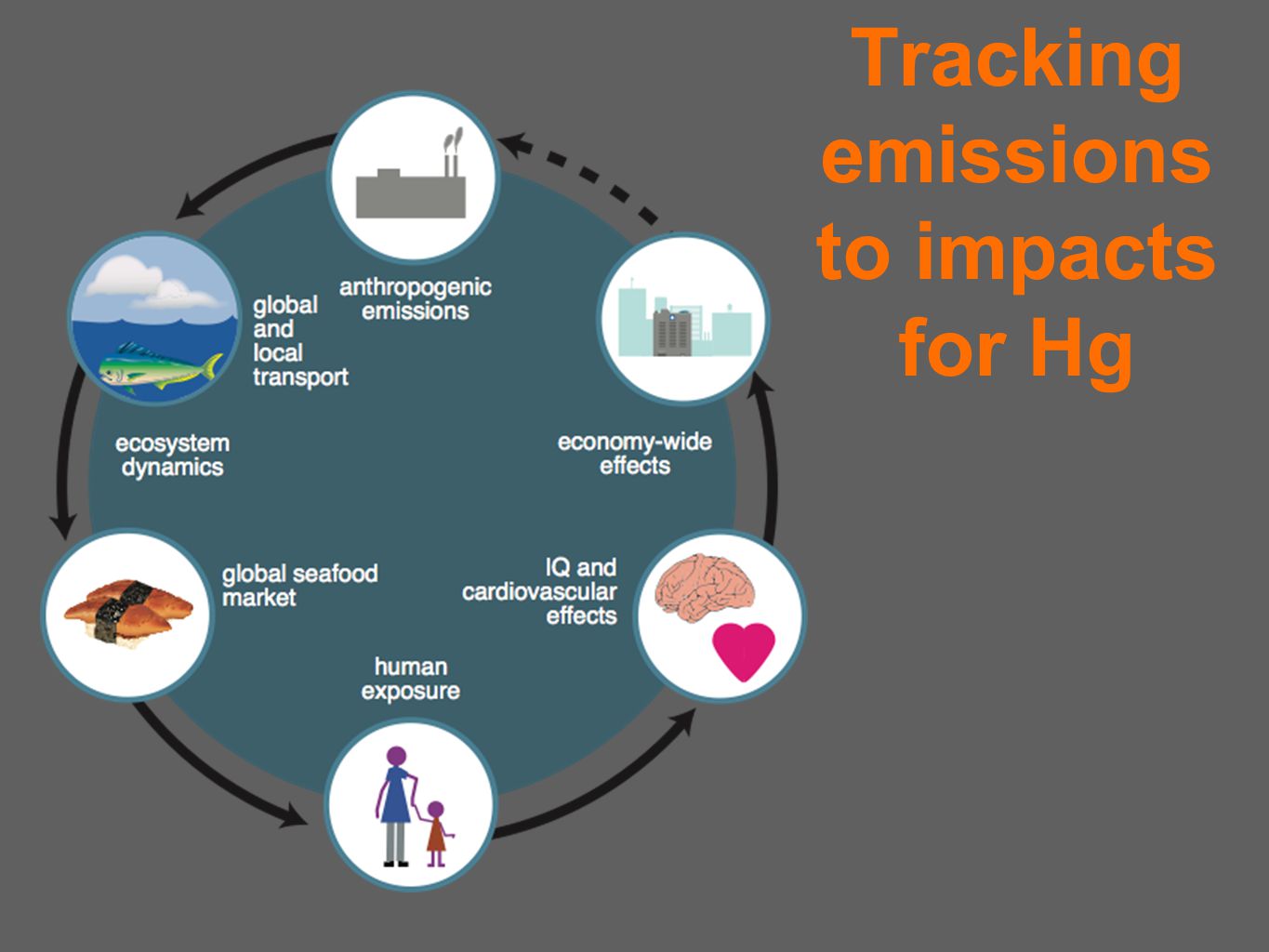 Tracking emissions to impacts for Hg