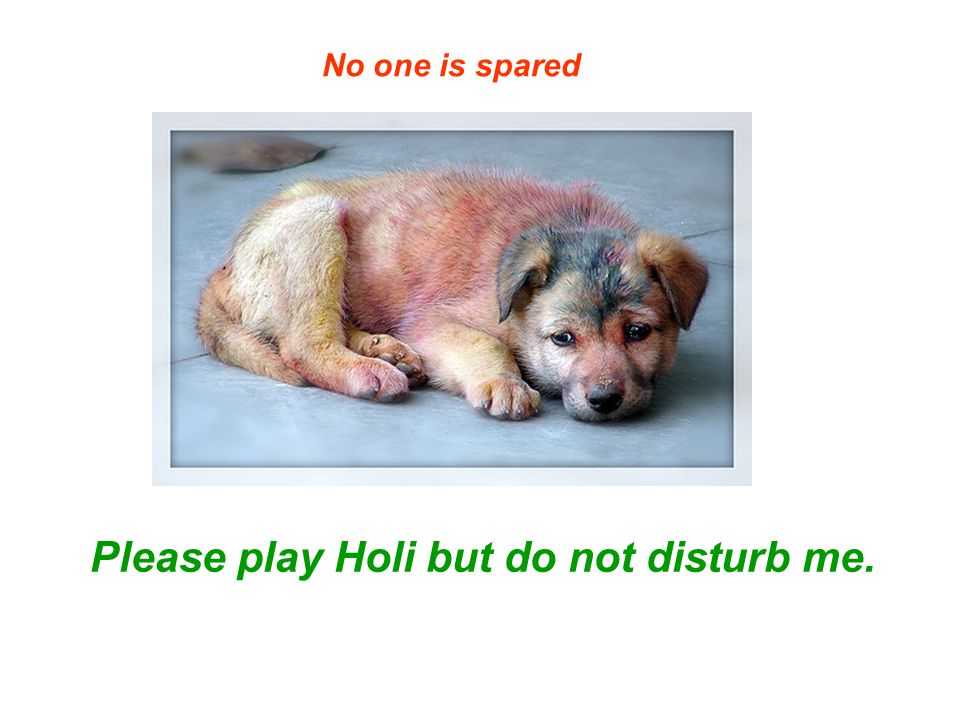 Please play Holi but do not disturb me. No one is spared