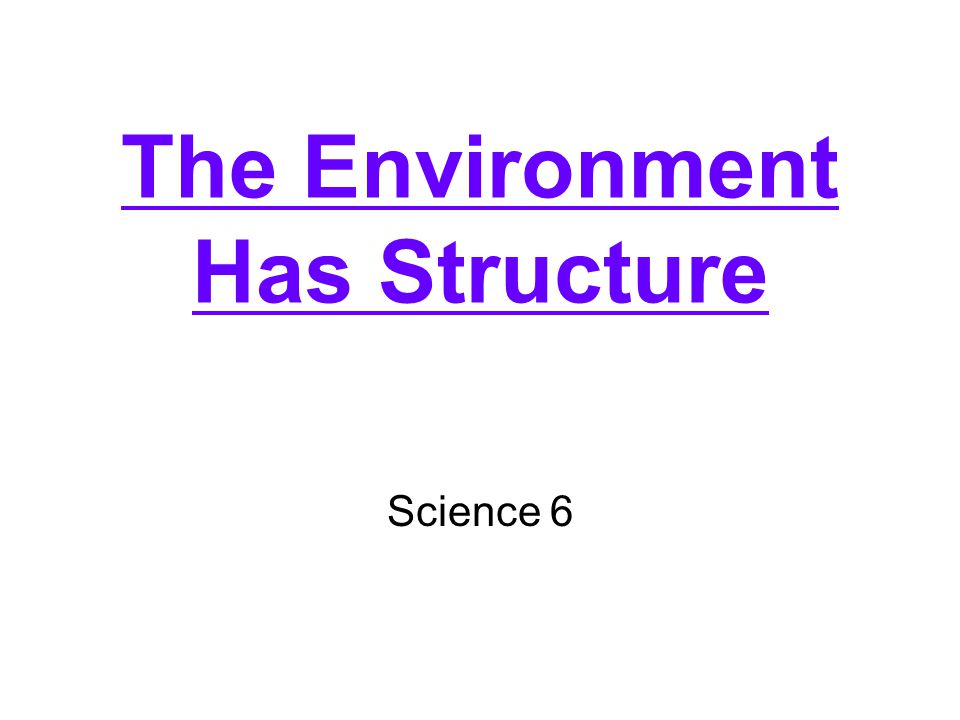 The Environment Has Structure Science 6