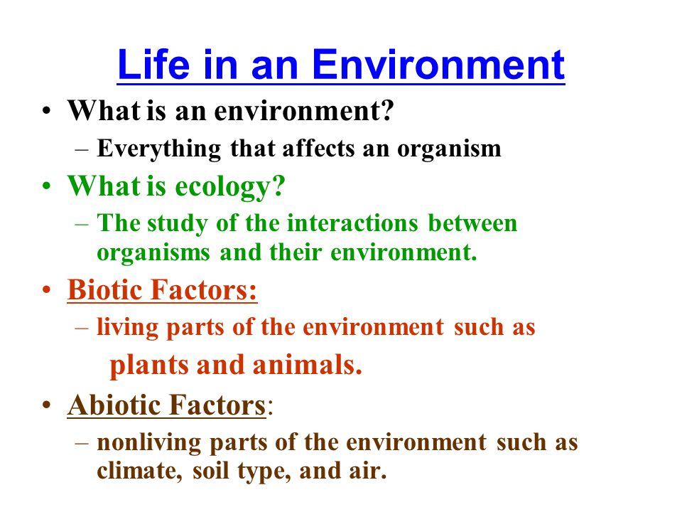 What is an environment. –Everything that affects an organism What is ecology.
