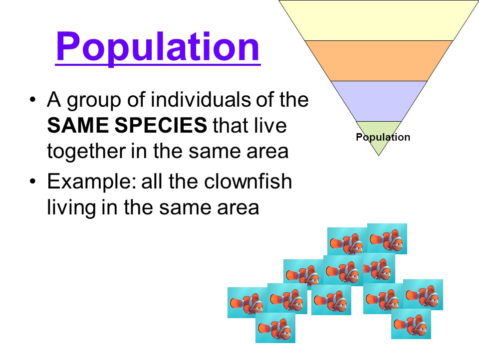 Population A group of individuals of the SAME SPECIES that live together in the same area Example: all the clownfish living in the same area Population