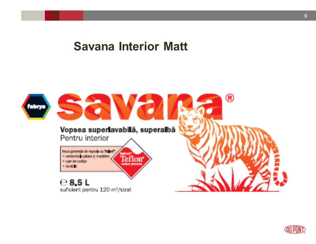 9 Savana Interior Matt