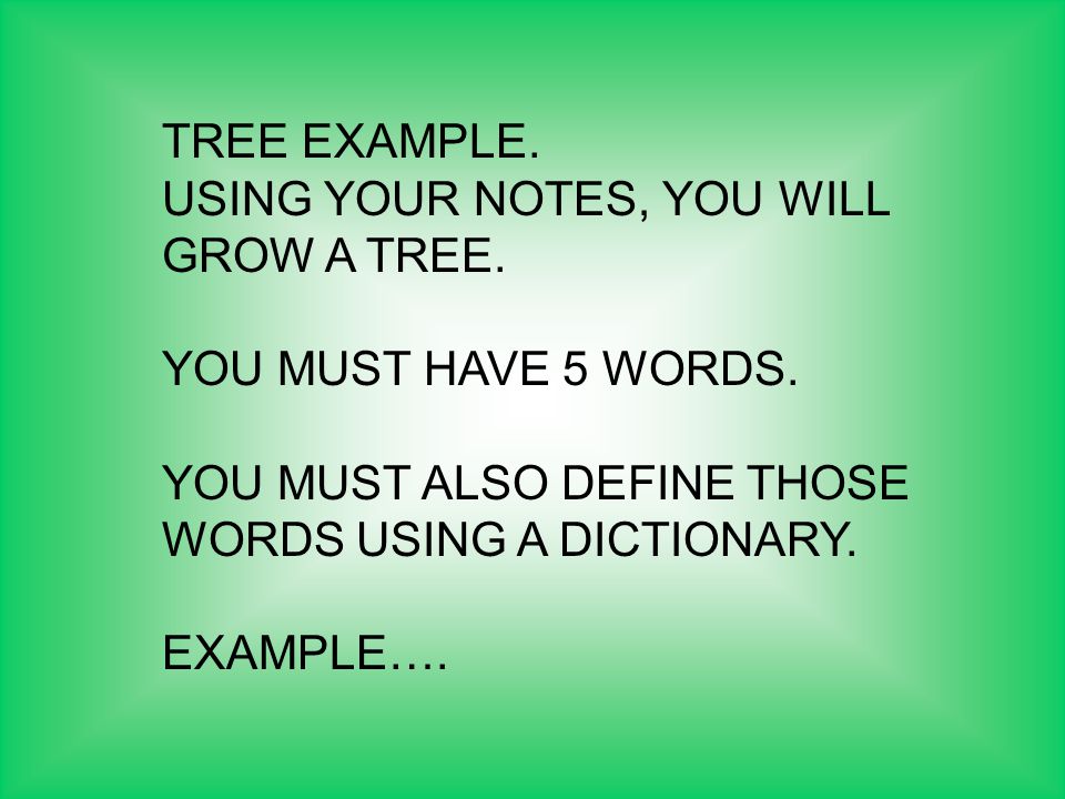 TREE EXAMPLE. USING YOUR NOTES, YOU WILL GROW A TREE.