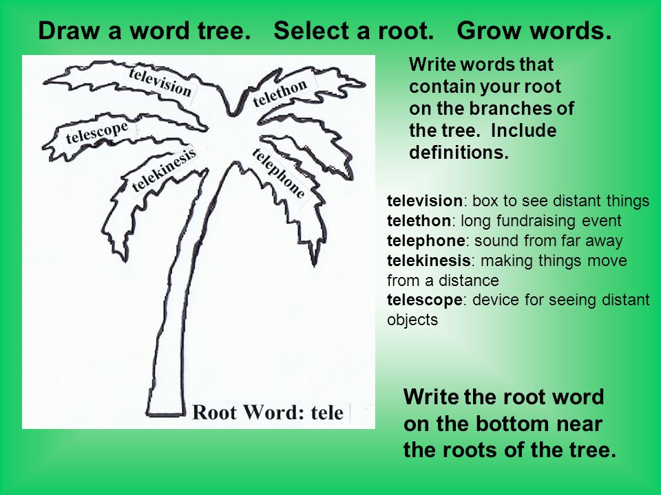 Draw a word tree. Select a root. Grow words.