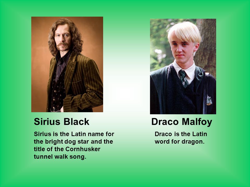Sirius Black Draco Malfoy Sirius is the Latin name for the bright dog star and the title of the Cornhusker tunnel walk song.