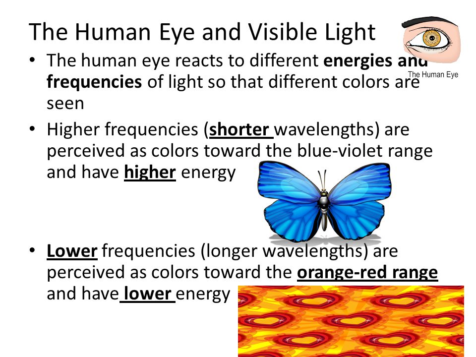 The Human Eye and Visible Light The human eye reacts to different energies and frequencies of light so that different colors are seen Higher frequencies (shorter wavelengths) are perceived as colors toward the blue-violet range and have higher energy Lower frequencies (longer wavelengths) are perceived as colors toward the orange-red range and have lower energy