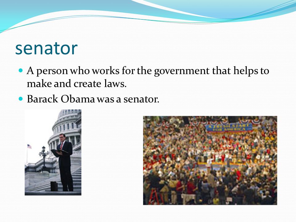 senator A person who works for the government that helps to make and create laws.