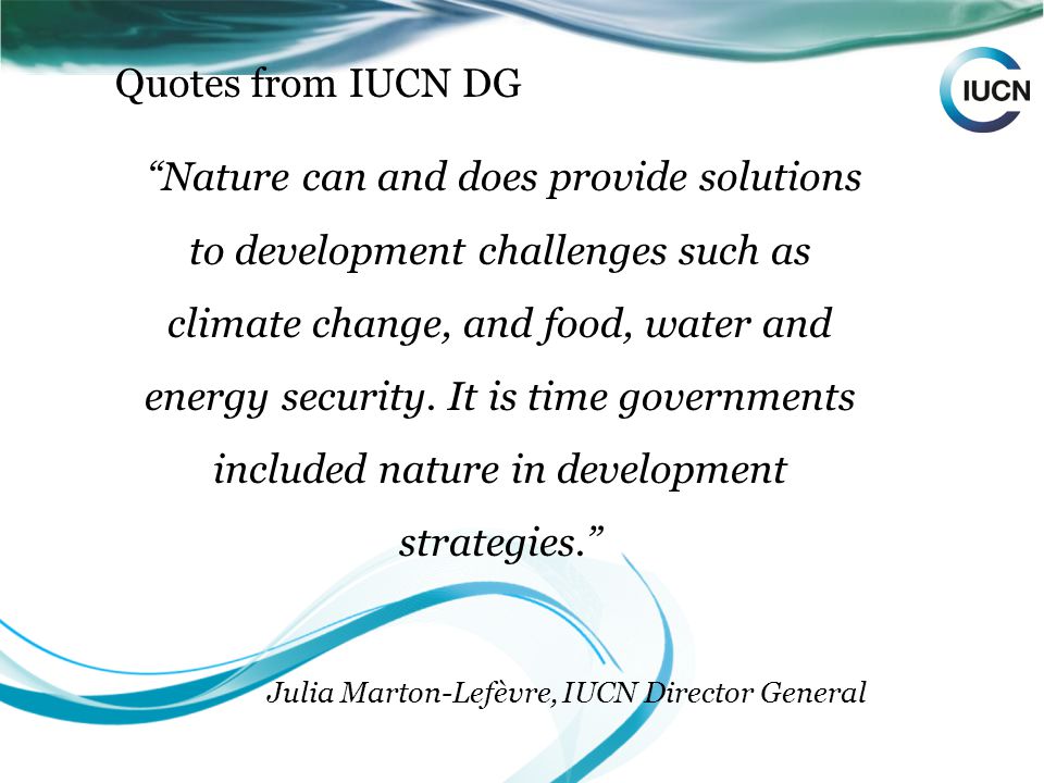 Quotes from IUCN DG Nature can and does provide solutions to development challenges such as climate change, and food, water and energy security.
