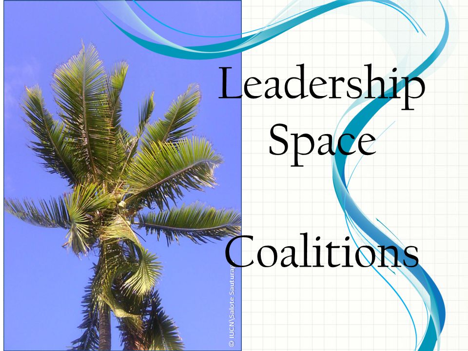 Leadership Space Coalitions