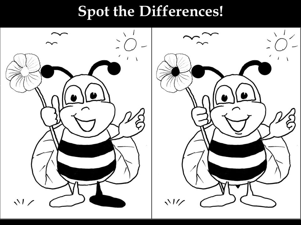 Найди 3 печати. Пчела раскраска. Пчела раскраска для детей. Пчела задания для дошкольников. Пчелки задания для детей.