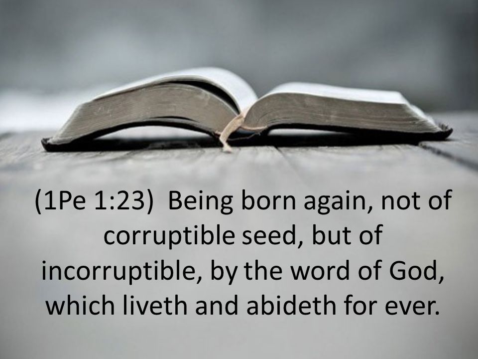 (1Pe 1:23) Being born again, not of corruptible seed, but of incorruptible, by the word of God, which liveth and abideth for ever.