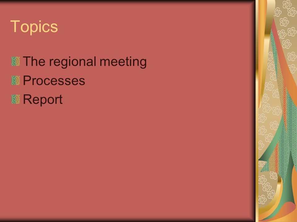 Topics The regional meeting Processes Report
