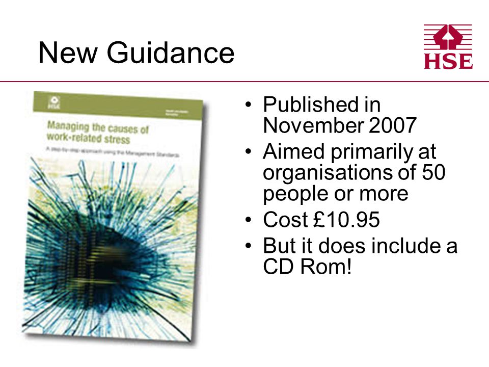 New Guidance Published in November 2007 Aimed primarily at organisations of 50 people or more Cost £10.95 But it does include a CD Rom!