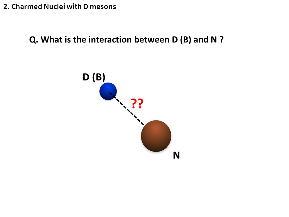 N D (B) Q. What is the interaction between D (B) and N 2. Charmed Nuclei with D mesons