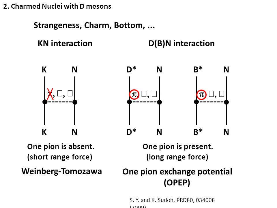 NK KN  Weinberg-Tomozawa One pion exchange potential (OPEP) ND* N NB* N One pion is absent.