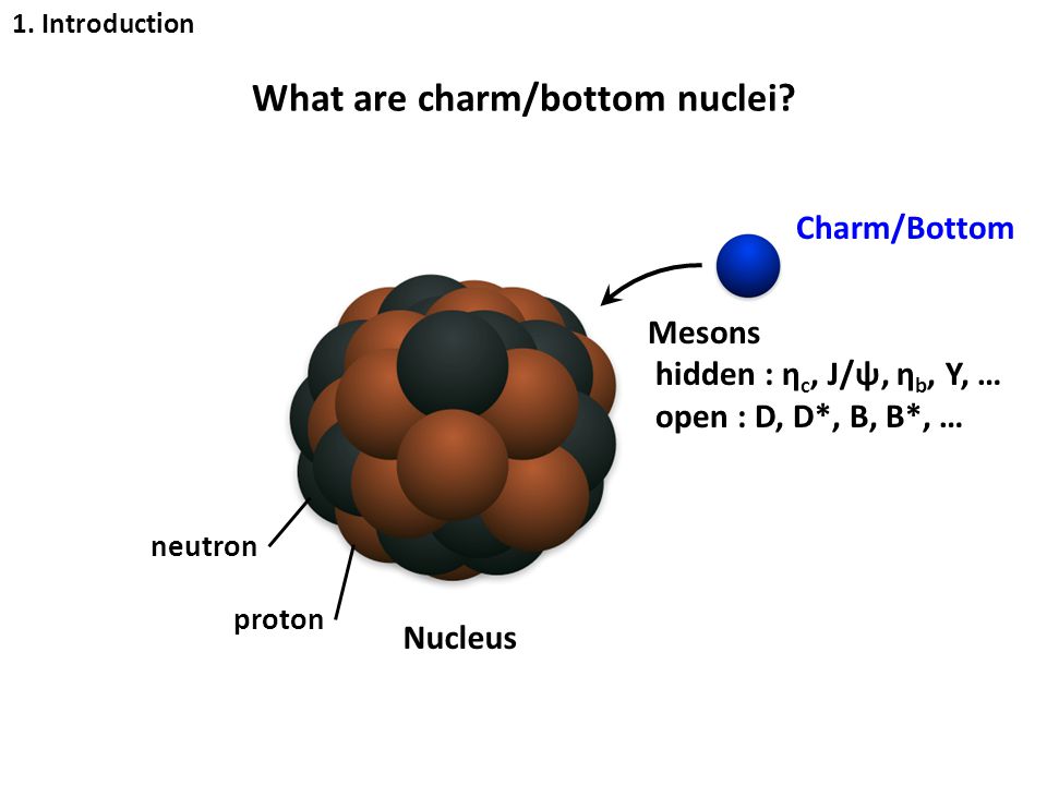 Nucleus proton neutron Charm/Bottom Mesons hidden : η c, J/ψ, η b, Υ, … open : D, D*, B, B*, … What are charm/bottom nuclei.