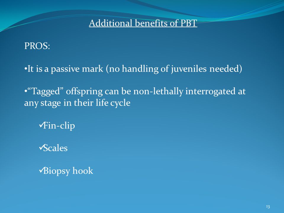 Additional benefits of PBT PROS: It is a passive mark (no handling of juveniles needed) Tagged offspring can be non-lethally interrogated at any stage in their life cycle Fin-clip Scales Biopsy hook 13