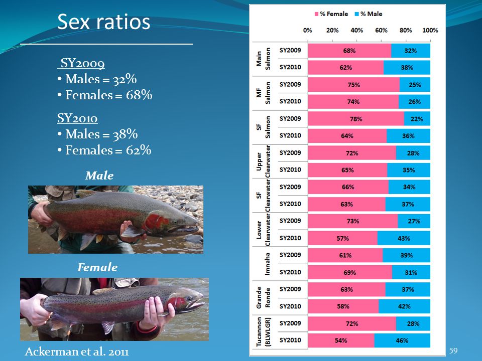 Sex ratios Male Female SY2009 Males = 32% Females = 68% SY2010 Males = 38% Females = 62% Ackerman et al.