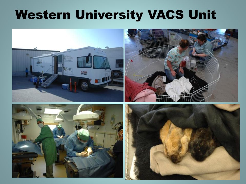 Western University VACS Unit