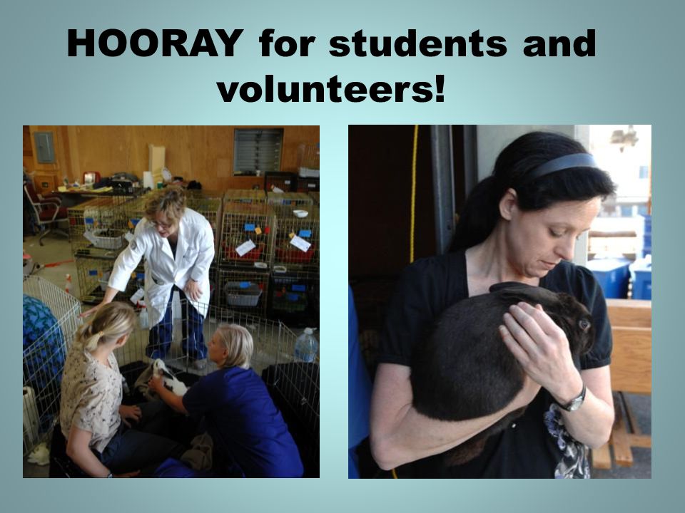 HOORAY for students and volunteers!